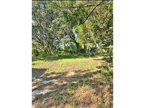 12070 NE 63rd Place Williston FL 32696 TB8512771 image45