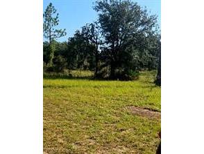12070 NE 63rd Place Williston FL 32696 TB8512771 image46