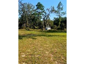 12070 NE 63rd Place Williston FL 32696 TB8512771 image47