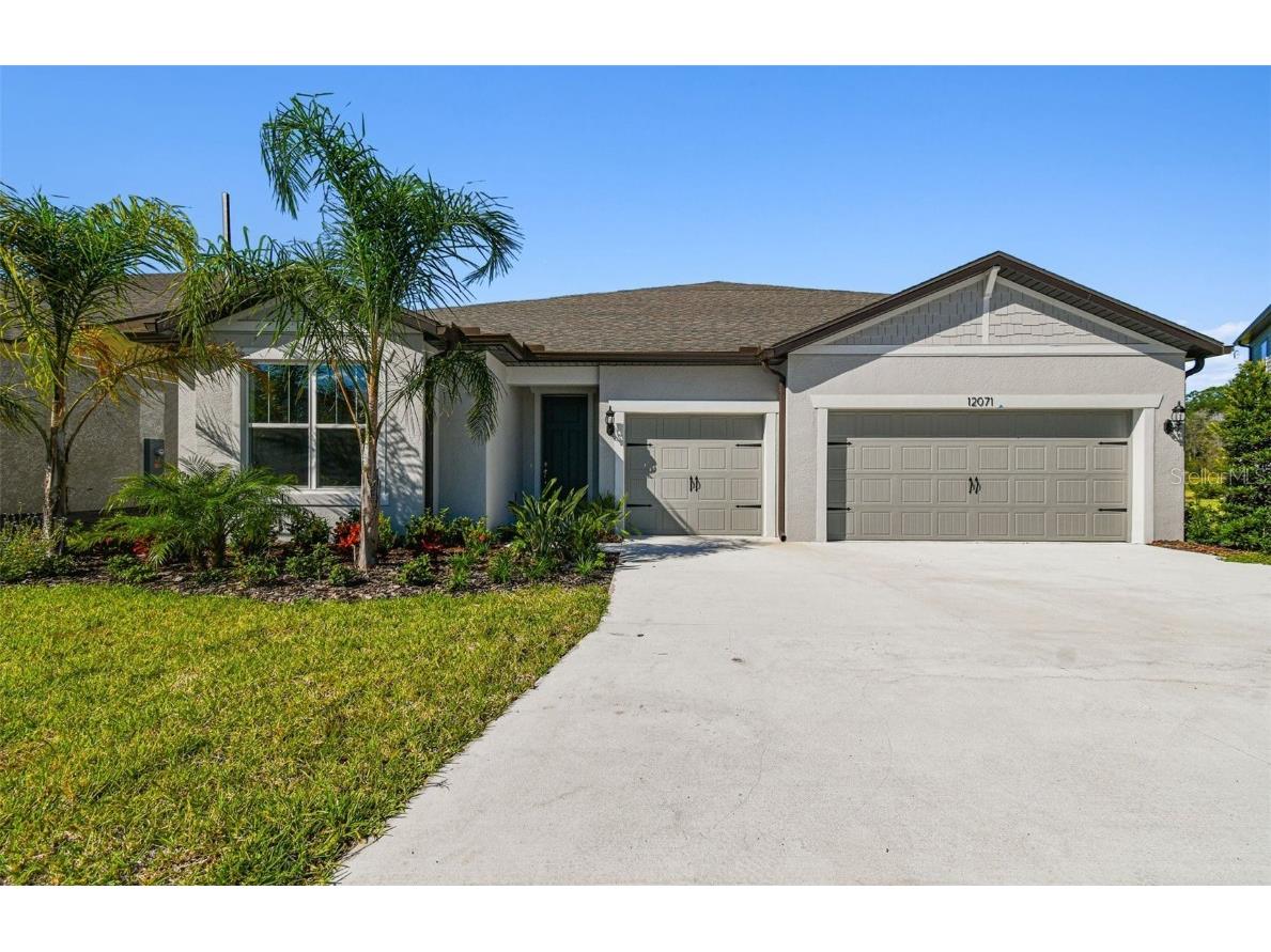 12071 Orchid Ash Street Riverview FL 33579 T3464776 image1
