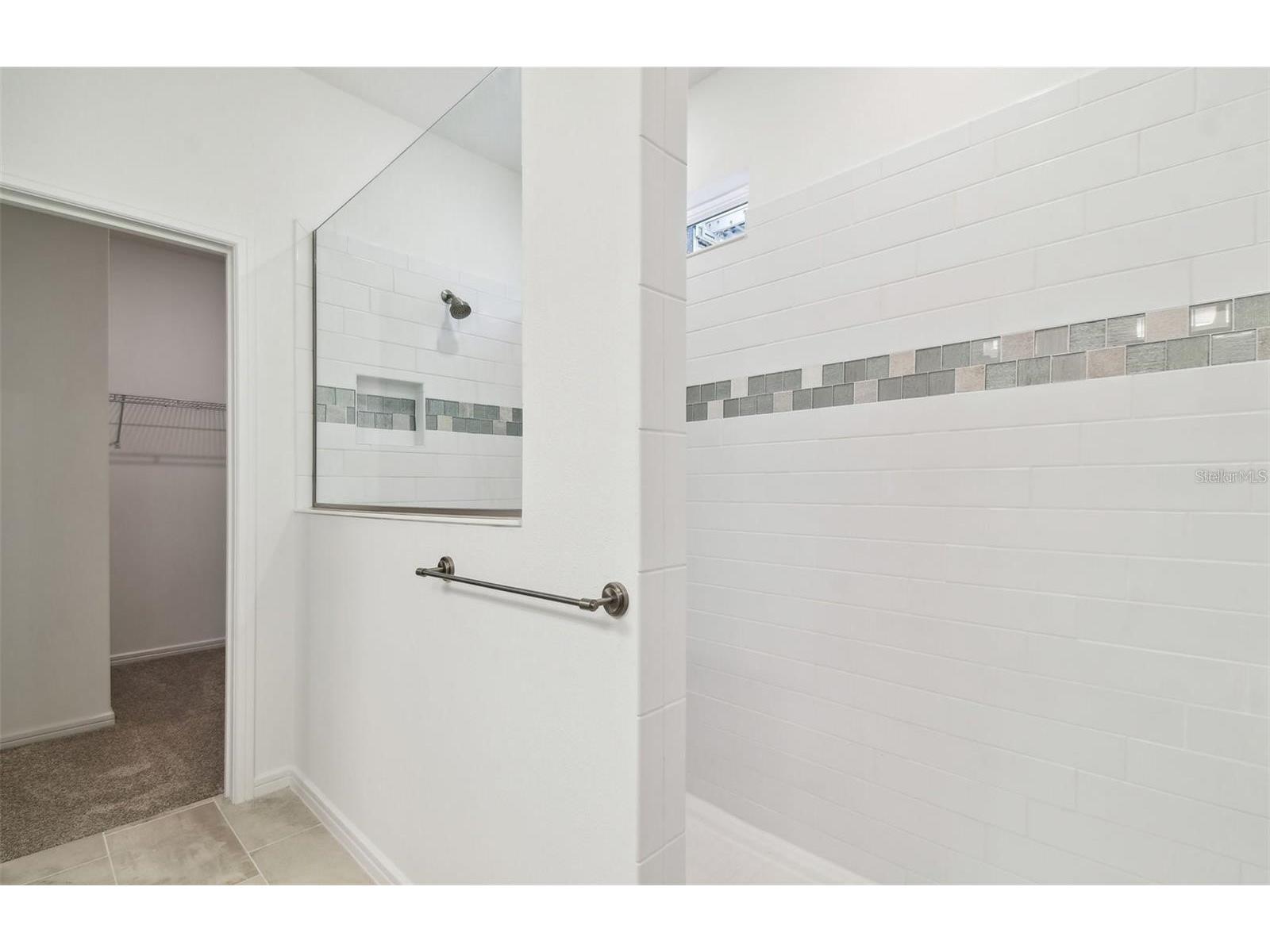 12071 Orchid Ash Street Riverview FL 33579 TB8520181 image14