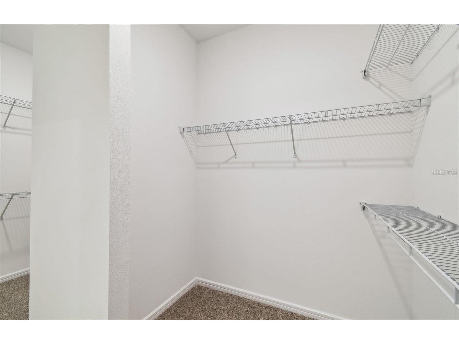 12071 Orchid Ash Street Riverview FL 33579 TB8520181 image15