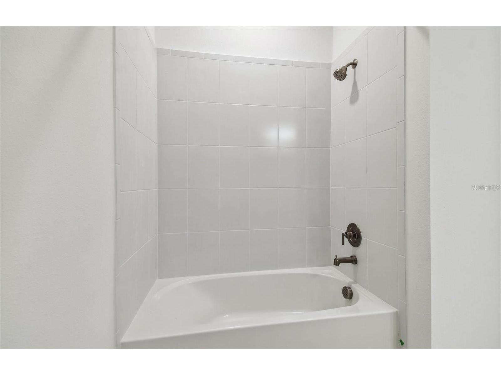 12071 Orchid Ash Street Riverview FL 33579 TB8520181 image20