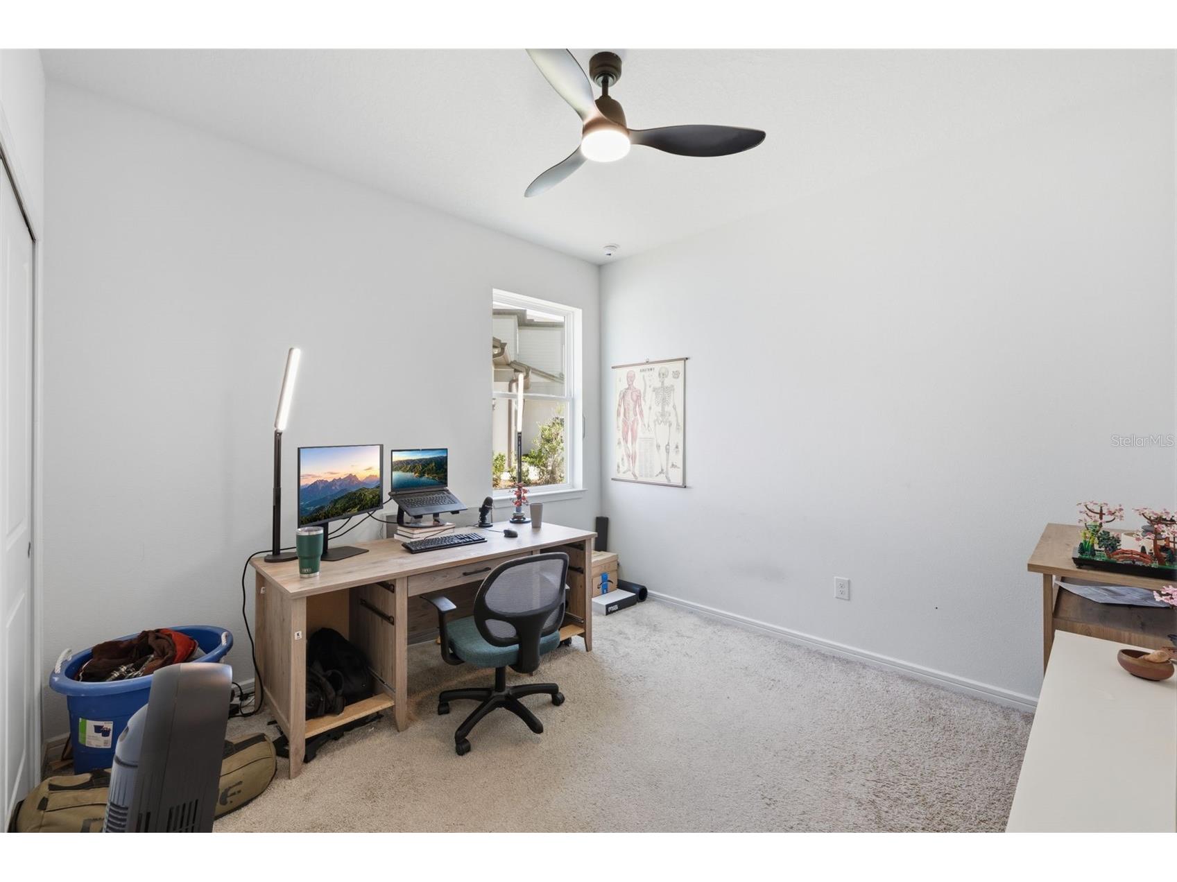 12071 Orchid Ash Street Riverview FL 33579 TB8520181 image21