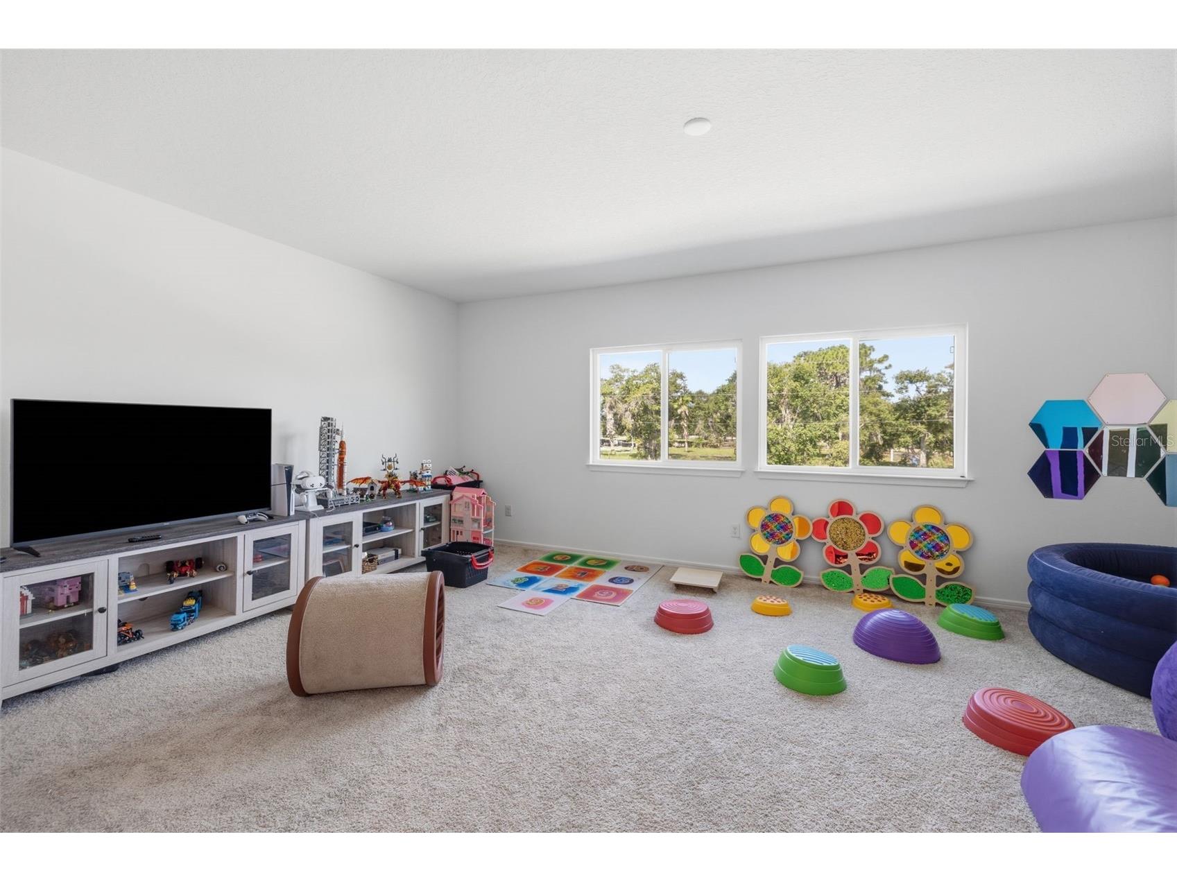 12071 Orchid Ash Street Riverview FL 33579 TB8520181 image25