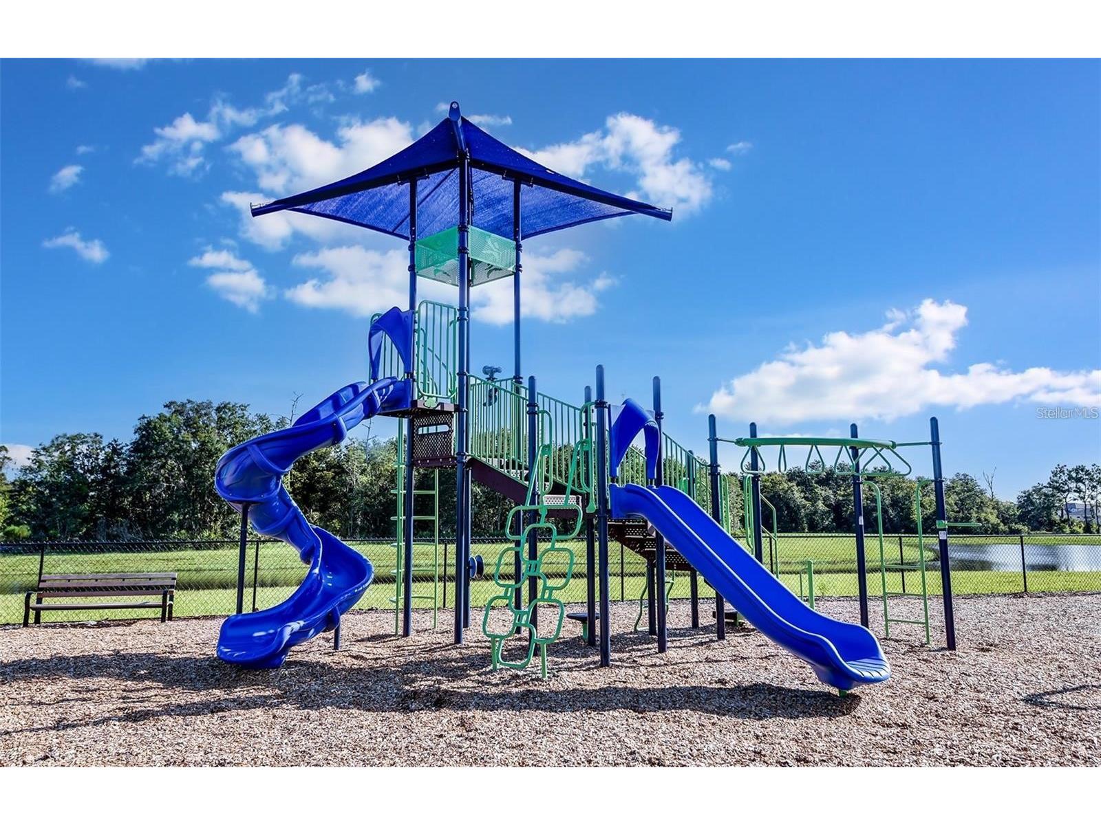 12071 Orchid Ash Street Riverview FL 33579 TB8520181 image38