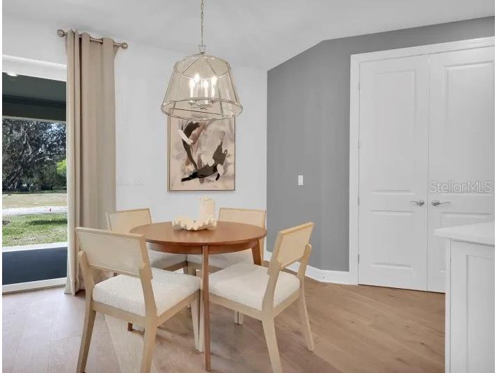12071 Orchid Ash Street Riverview FL 33579 TB8520181 image5