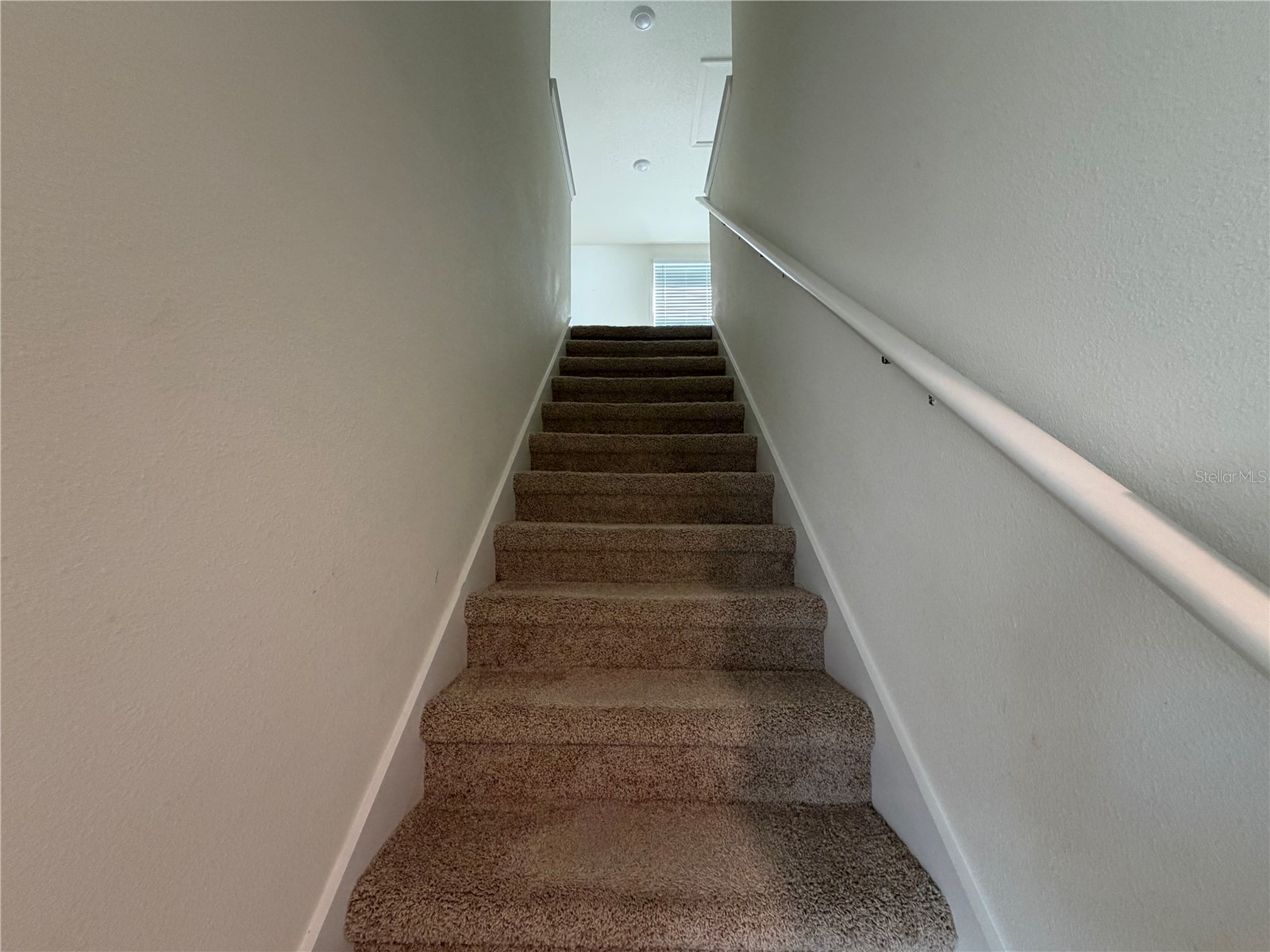 12072 Downy Birch Drive Riverview FL 33569 TB8466949 image12