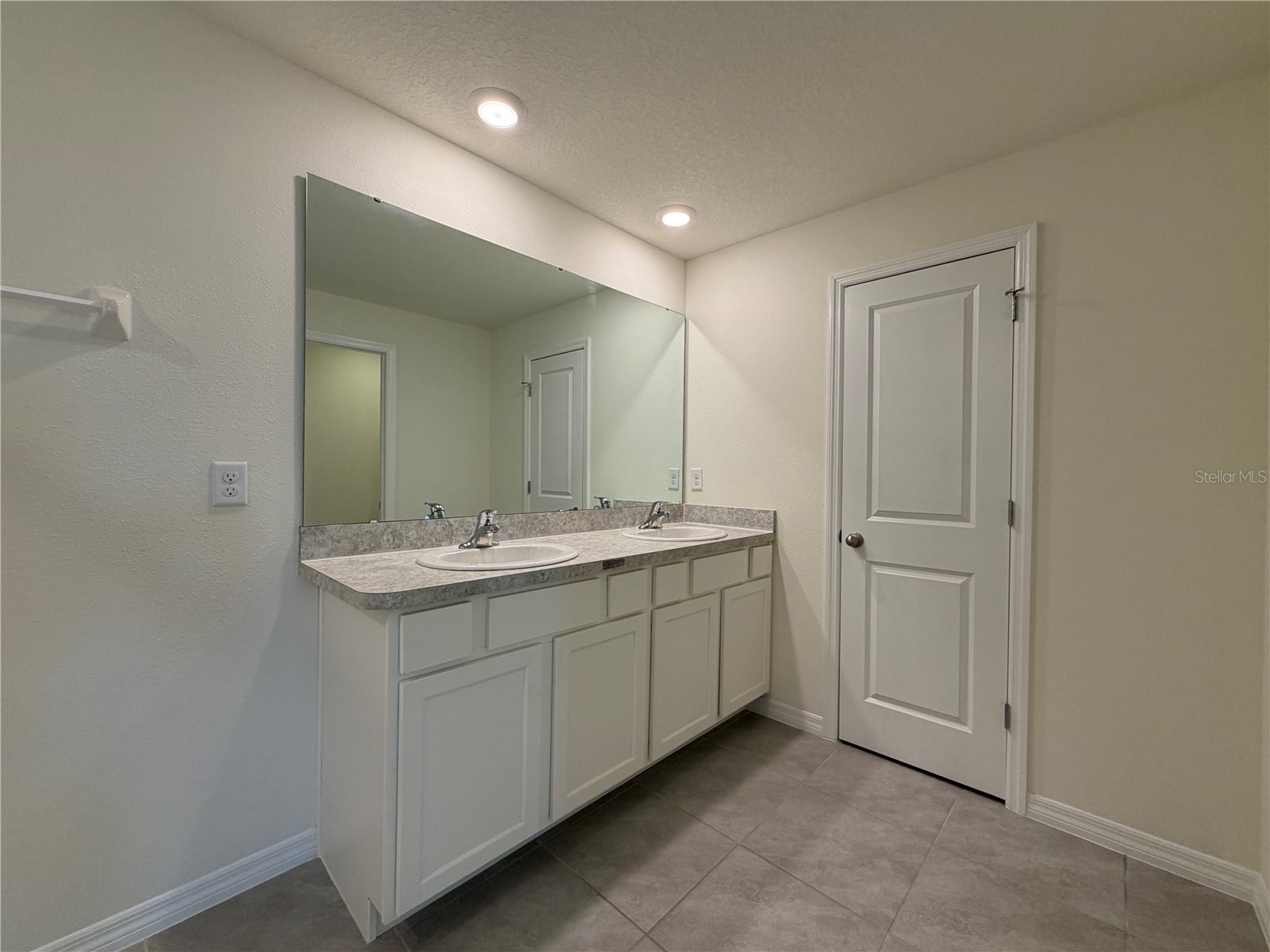 12072 Downy Birch Drive Riverview FL 33569 TB8466949 image15