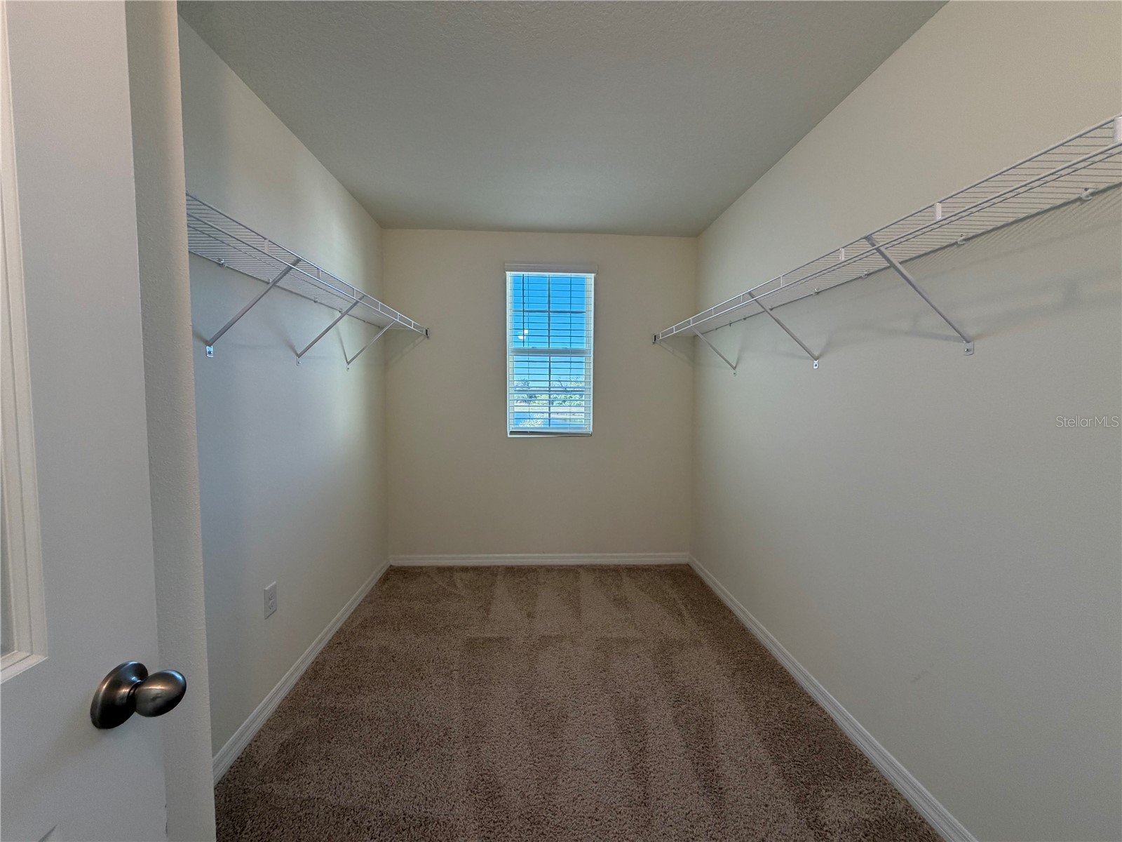 12072 Downy Birch Drive Riverview FL 33569 TB8466949 image17