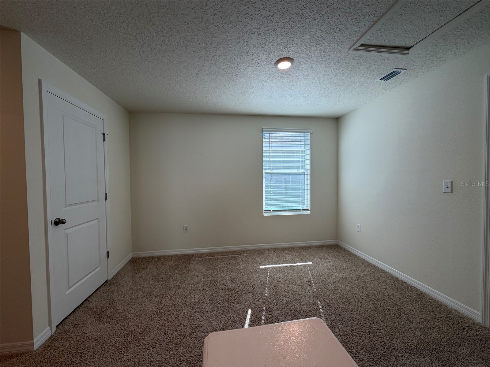 12072 Downy Birch Drive Riverview FL 33569 TB8466949 image18