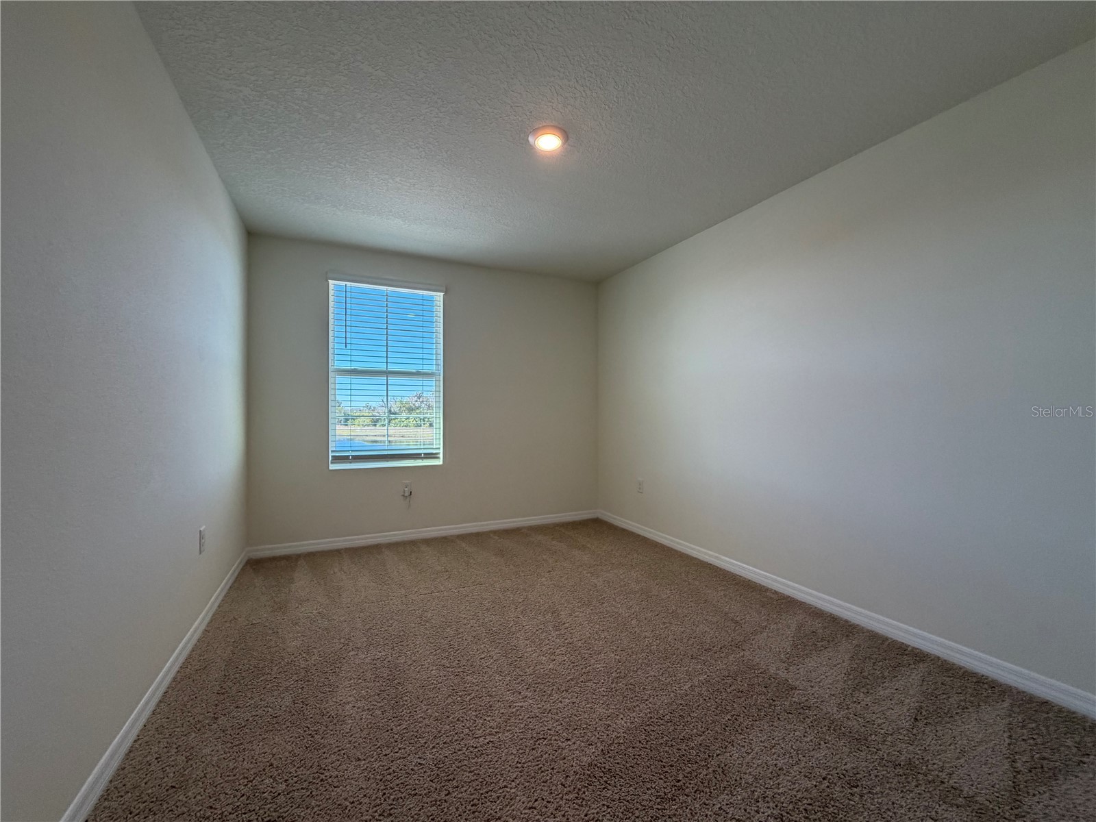 12072 Downy Birch Drive Riverview FL 33569 TB8466949 image19