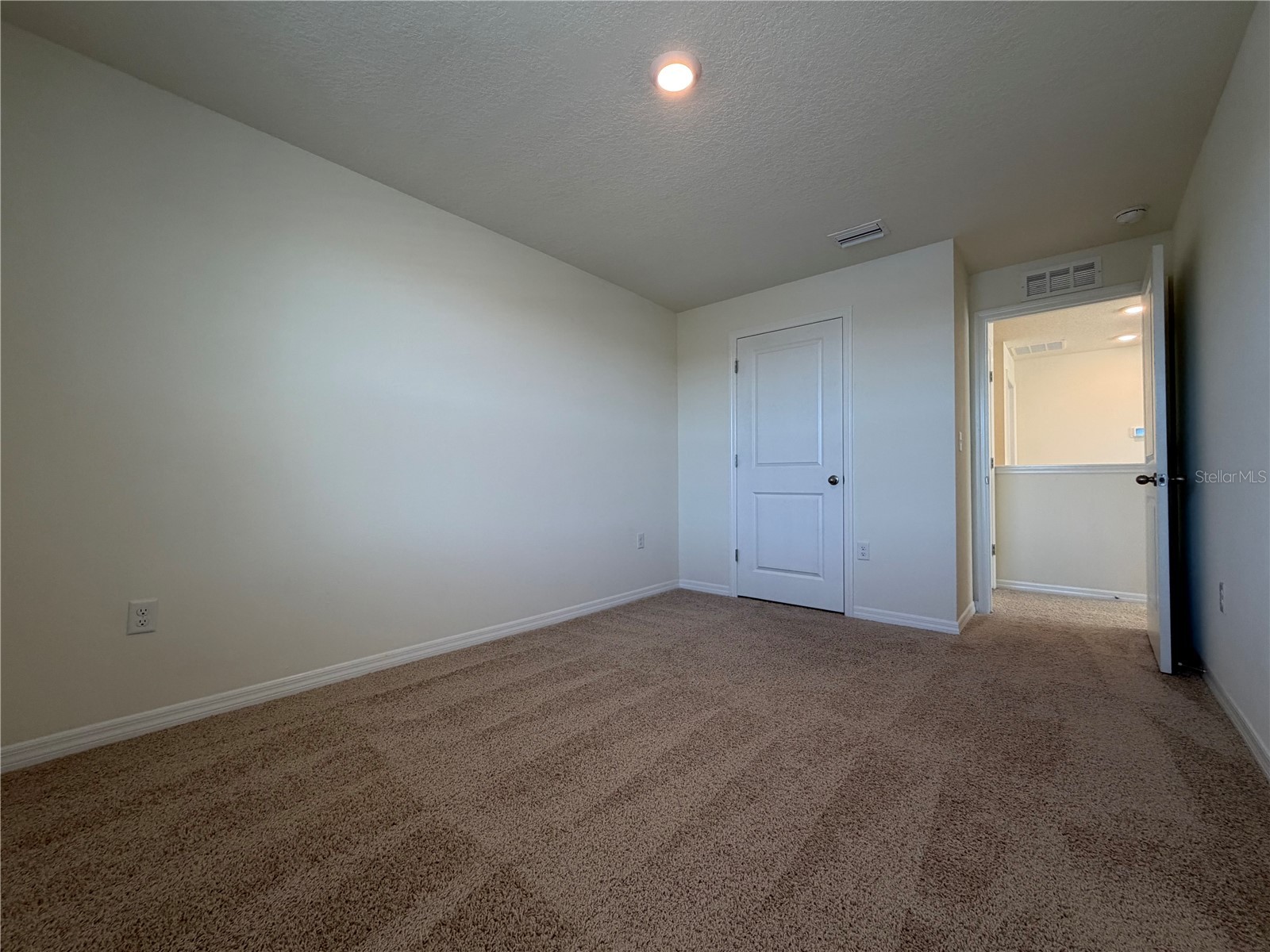 12072 Downy Birch Drive Riverview FL 33569 TB8466949 image20