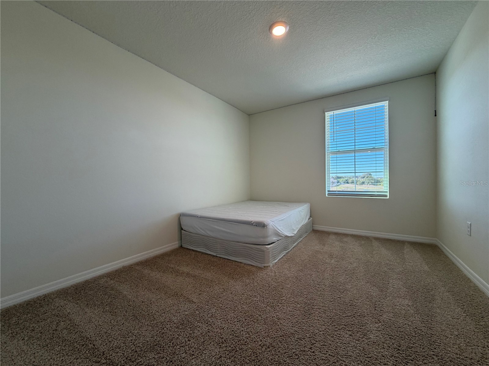 12072 Downy Birch Drive Riverview FL 33569 TB8466949 image22