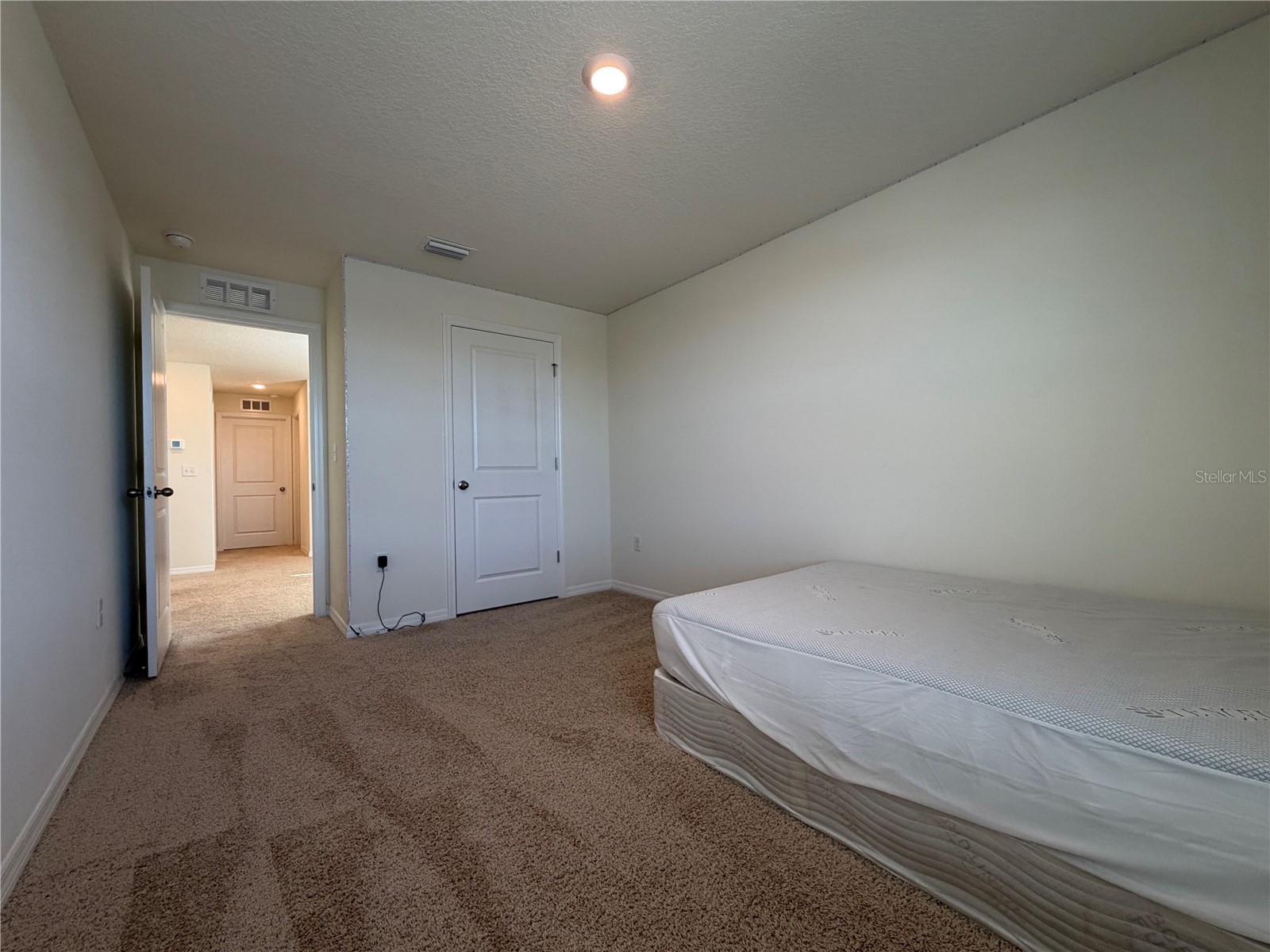 12072 Downy Birch Drive Riverview FL 33569 TB8466949 image23
