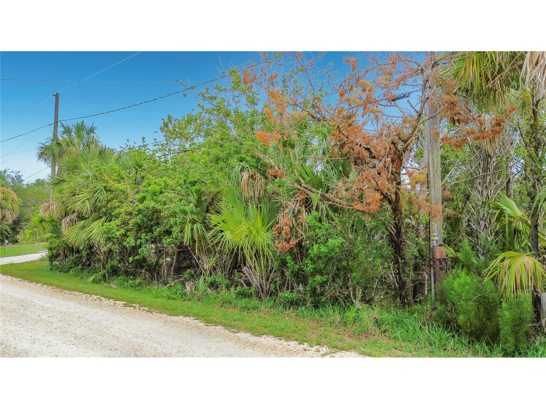 12073 W Gulf Breeze Court Crystal River FL 34429 TB8515097 image8