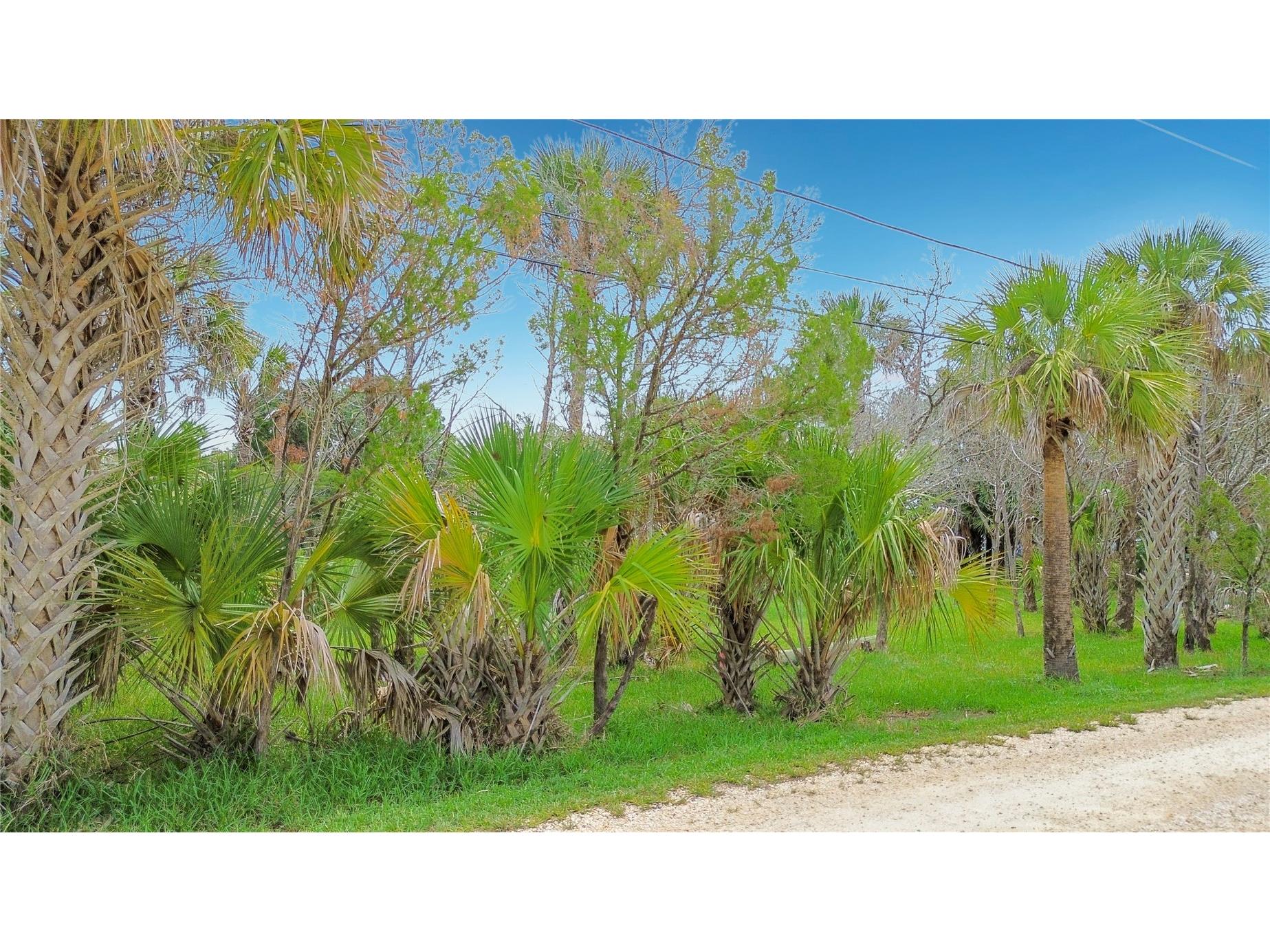 12073 W Gulf Breeze Court Crystal River FL 34429 TB8515097 image9