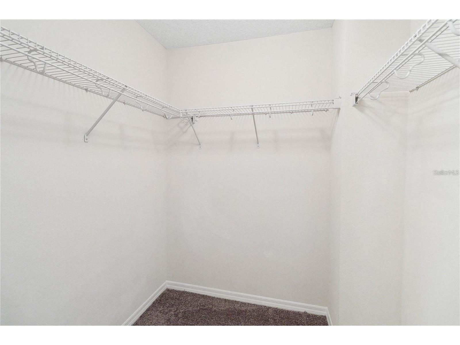 12074 Ginkgo Drive Orlando FL 32827 O6406068 image25