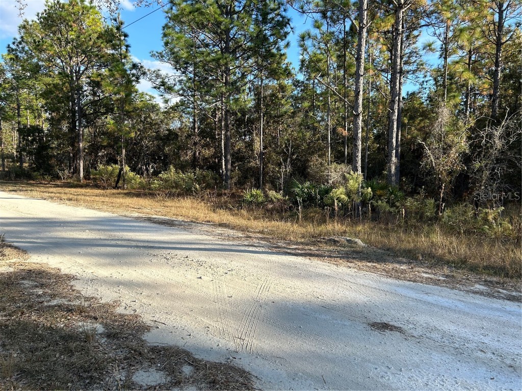 12076 Raschke Run Weeki Wachee FL 34614 W7859662 image1