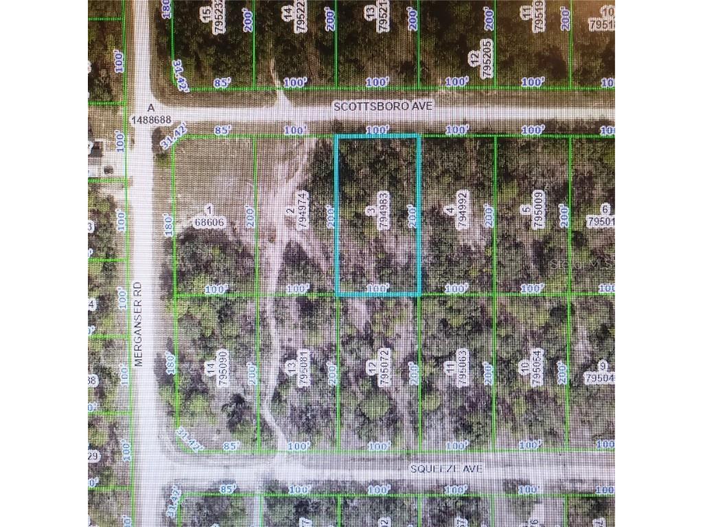 12076 Scottsboro Avenue Weeki Wachee FL 34614 V4930438 image1