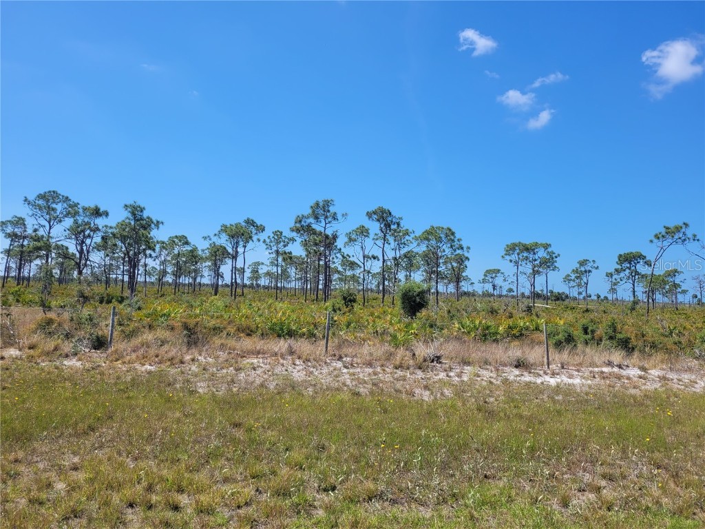 12076 Sea-Robin Lane Placida FL 33946 C7498354 image6