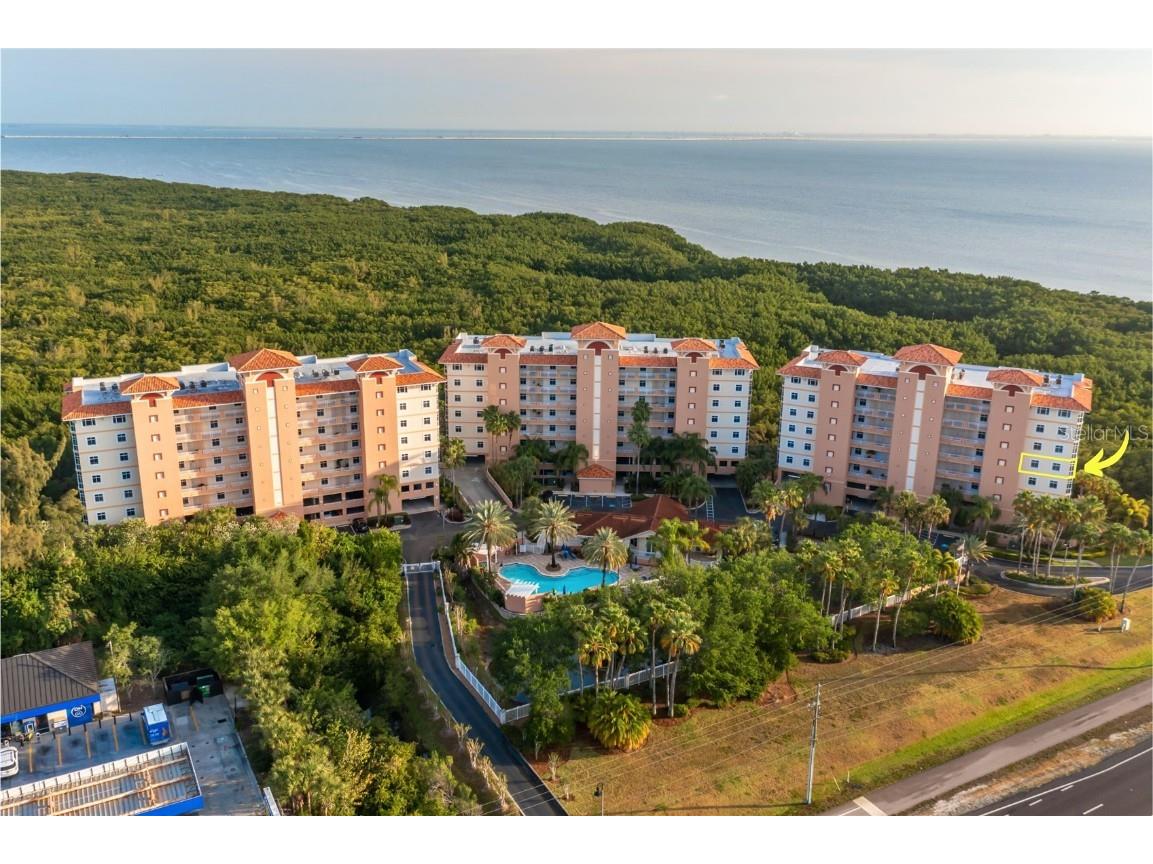 12077 Gandy Boulevard N #344 Saint Petersburg FL 33702 - TAMPA BAY TB8339849 image1