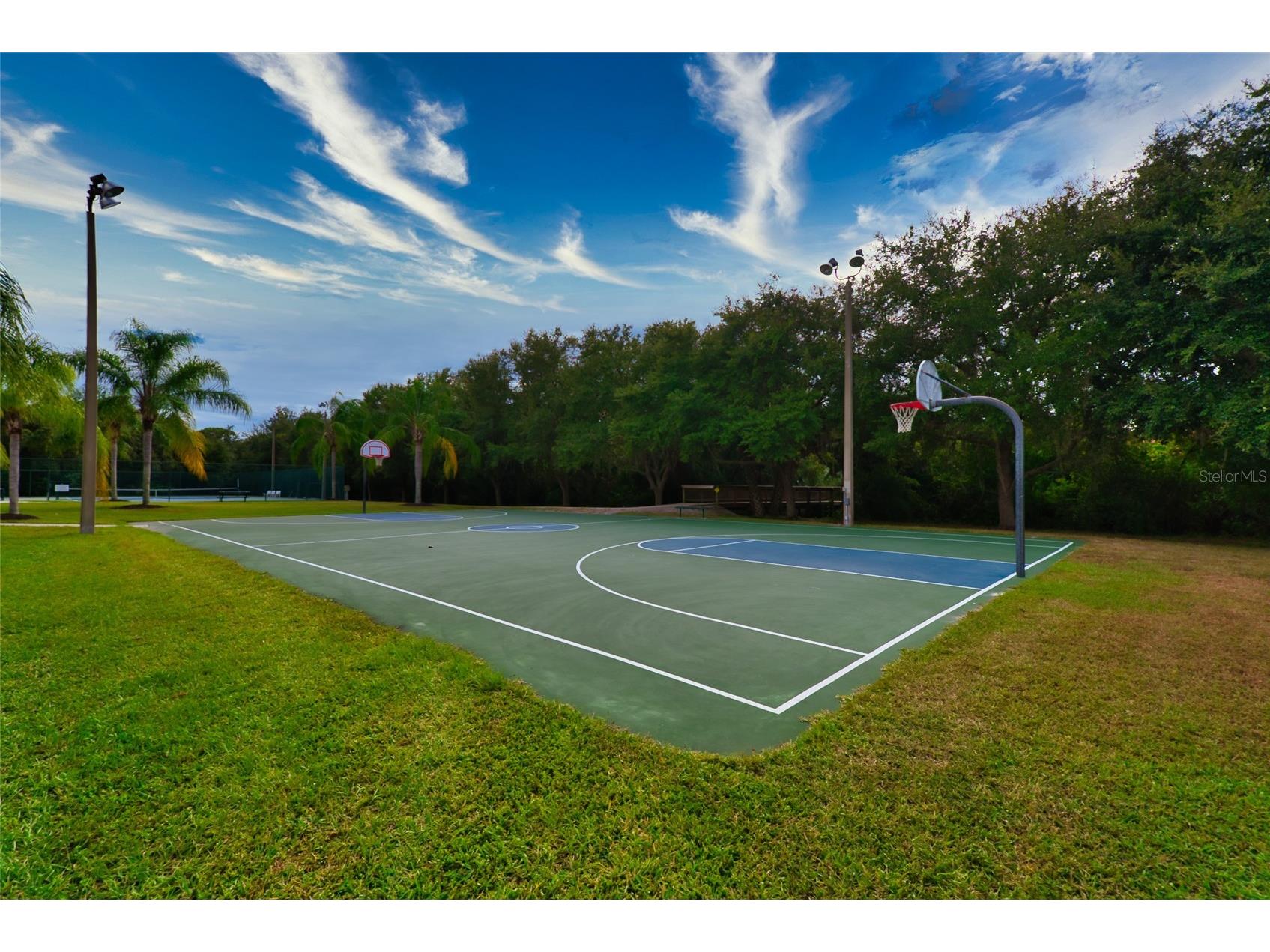 12079 Aster Avenue Bradenton FL 34212 A4689739 image38