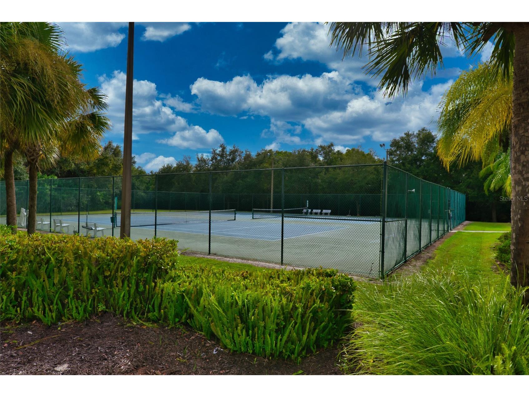 12079 Aster Avenue Bradenton FL 34212 A4689739 image43