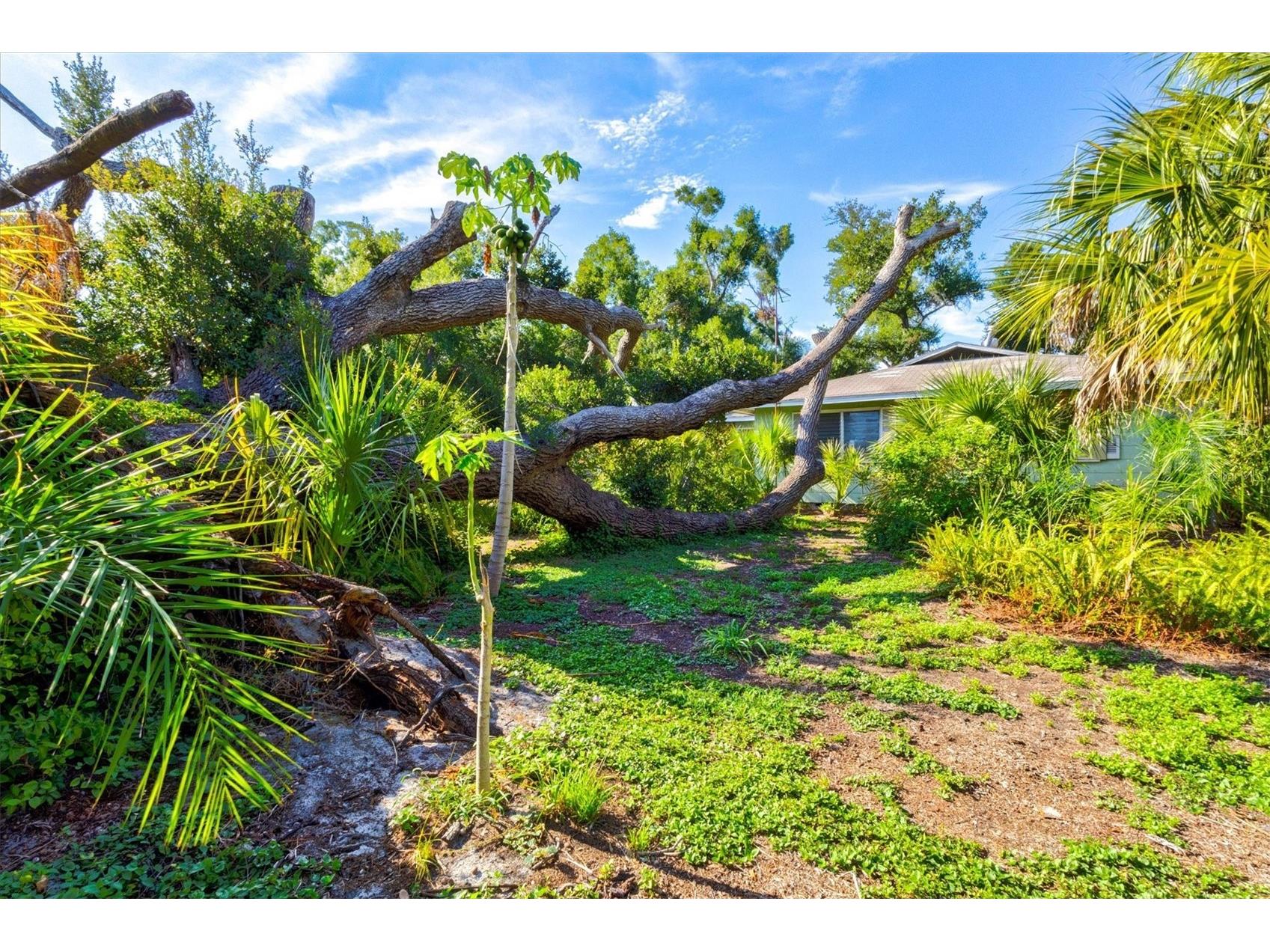 1208 28th Street W Bradenton FL 34205 A4698422 image35