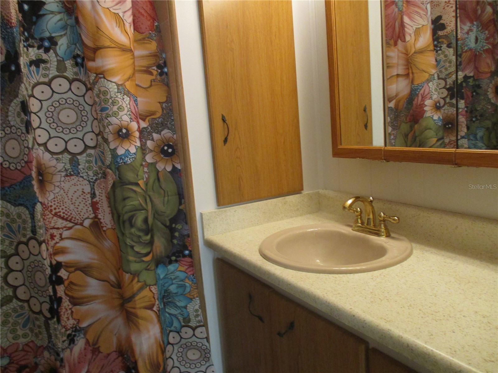 1208 44th Avenue Drive E Ellenton FL 34222 A4630309 image20