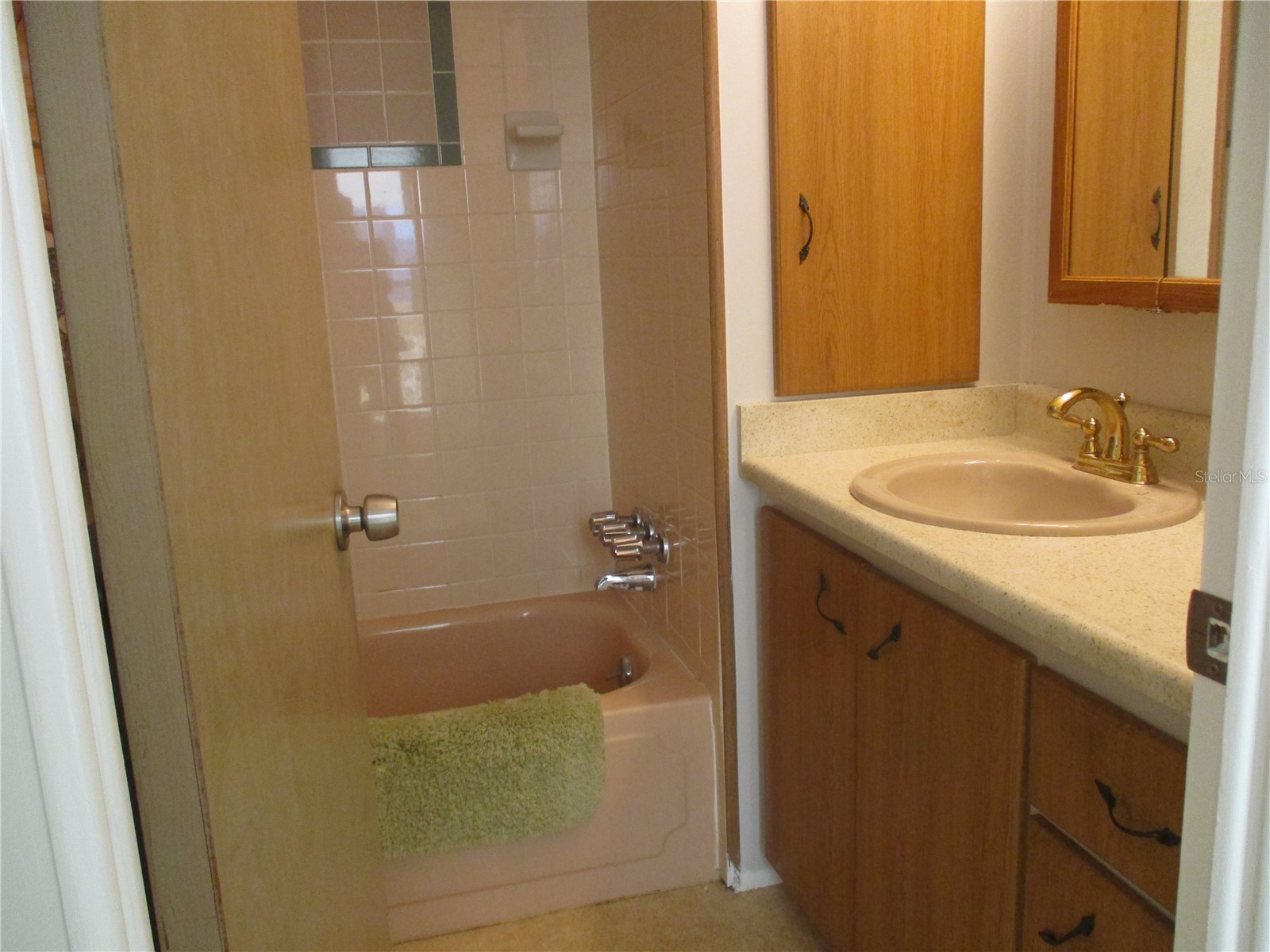 1208 44th Avenue Drive E Ellenton FL 34222 A4630309 image21