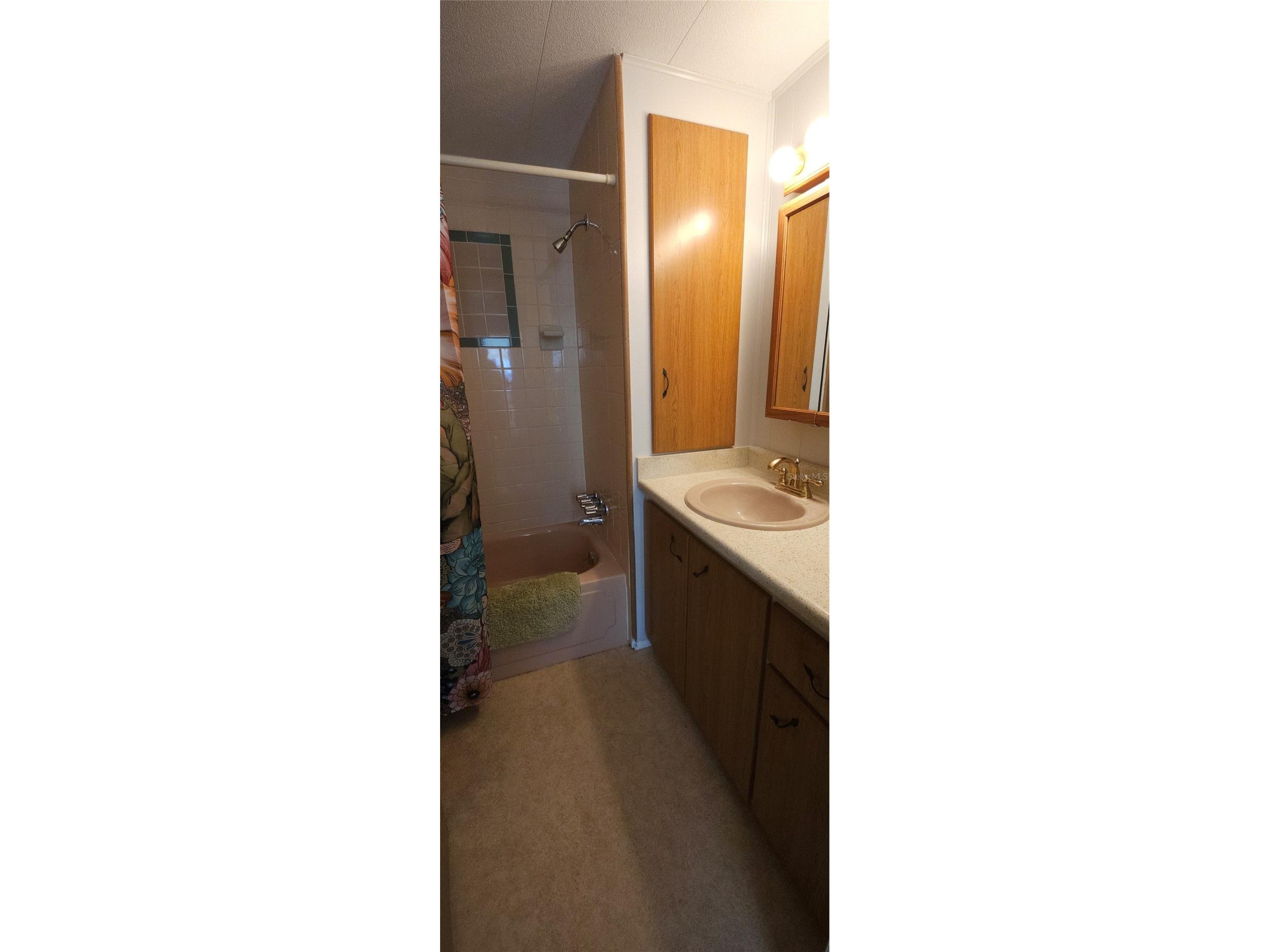1208 44th Avenue Drive E Ellenton FL 34222 A4630309 image50