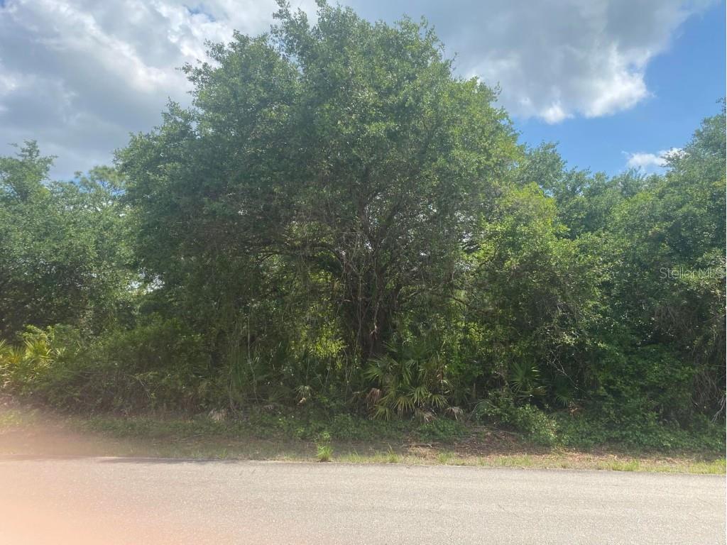 1208 Abbott Avenue Lehigh Acres FL 33972 OK221889 image1