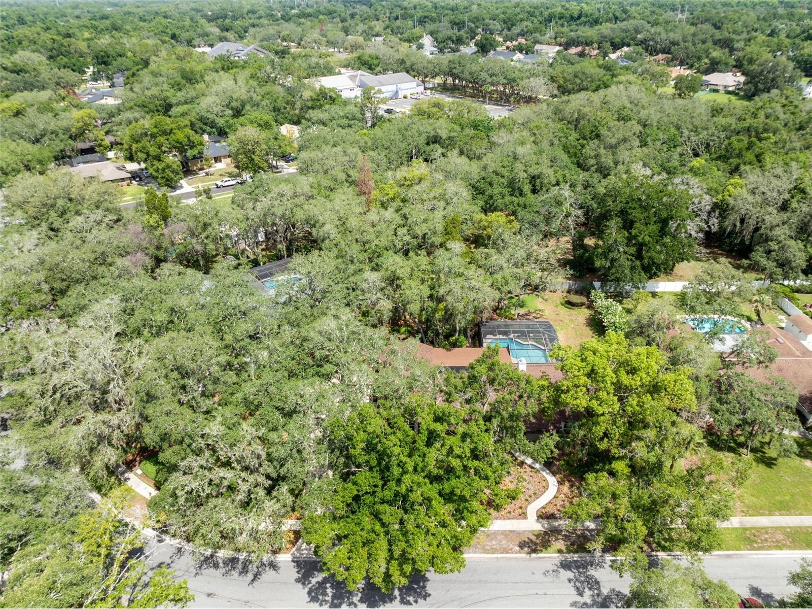 1208 Cheetah Trail Winter Springs FL 32708 O6416652 image47