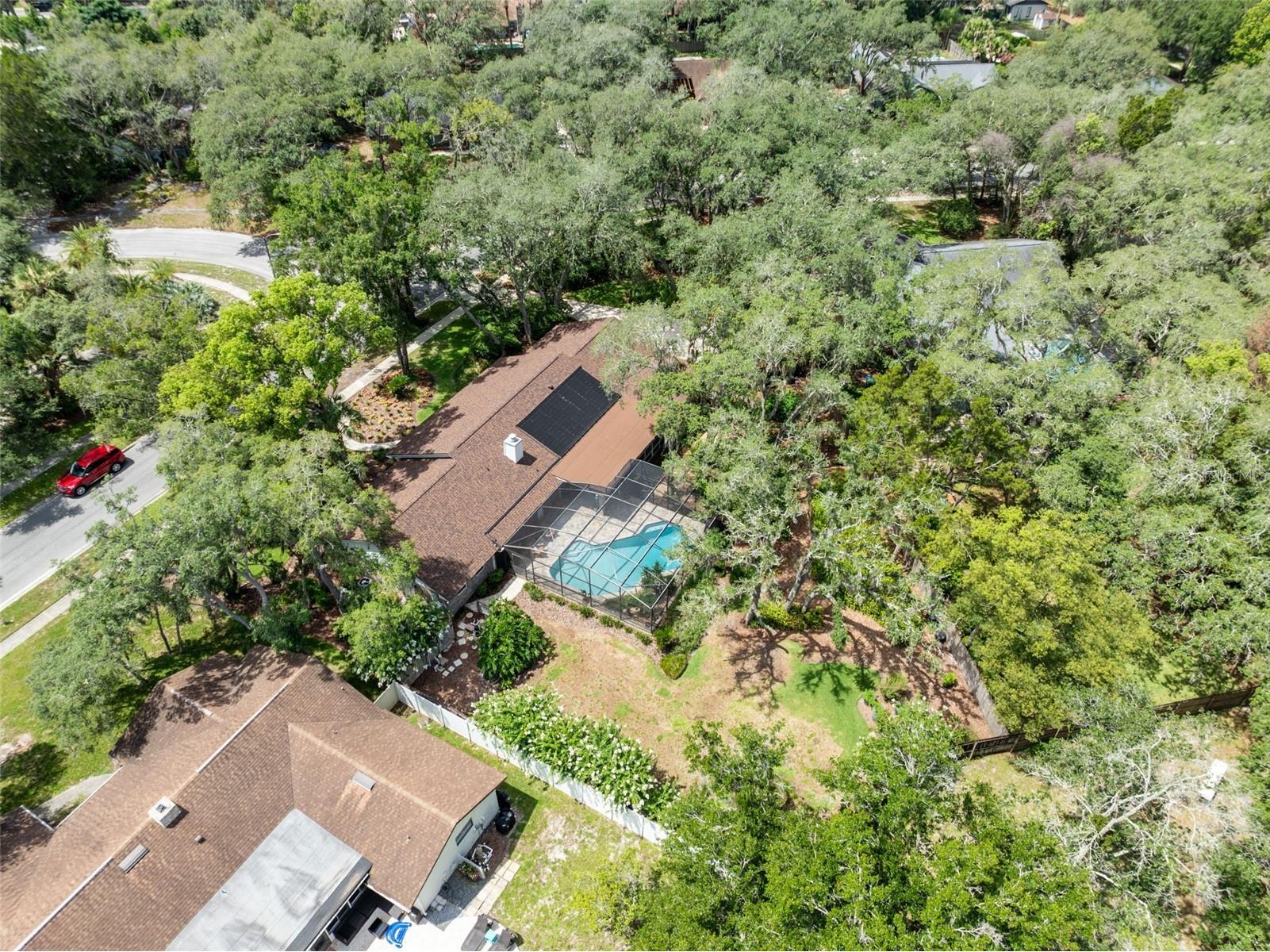 1208 Cheetah Trail Winter Springs FL 32708 O6416652 image48