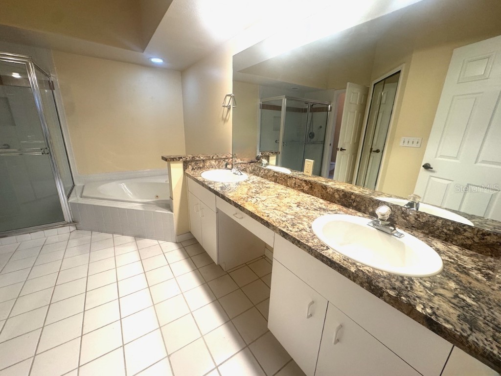 1208 Clays Trail Oldsmar FL 34677 TB8452700 image17