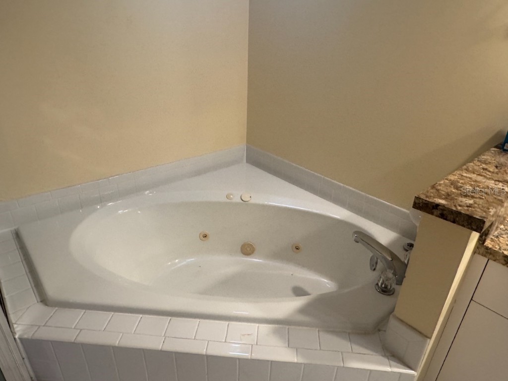 1208 Clays Trail Oldsmar FL 34677 TB8452700 image18