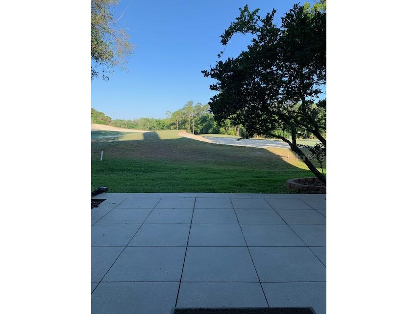 1208 Clays Trail Oldsmar FL 34677 TB8452700 image25