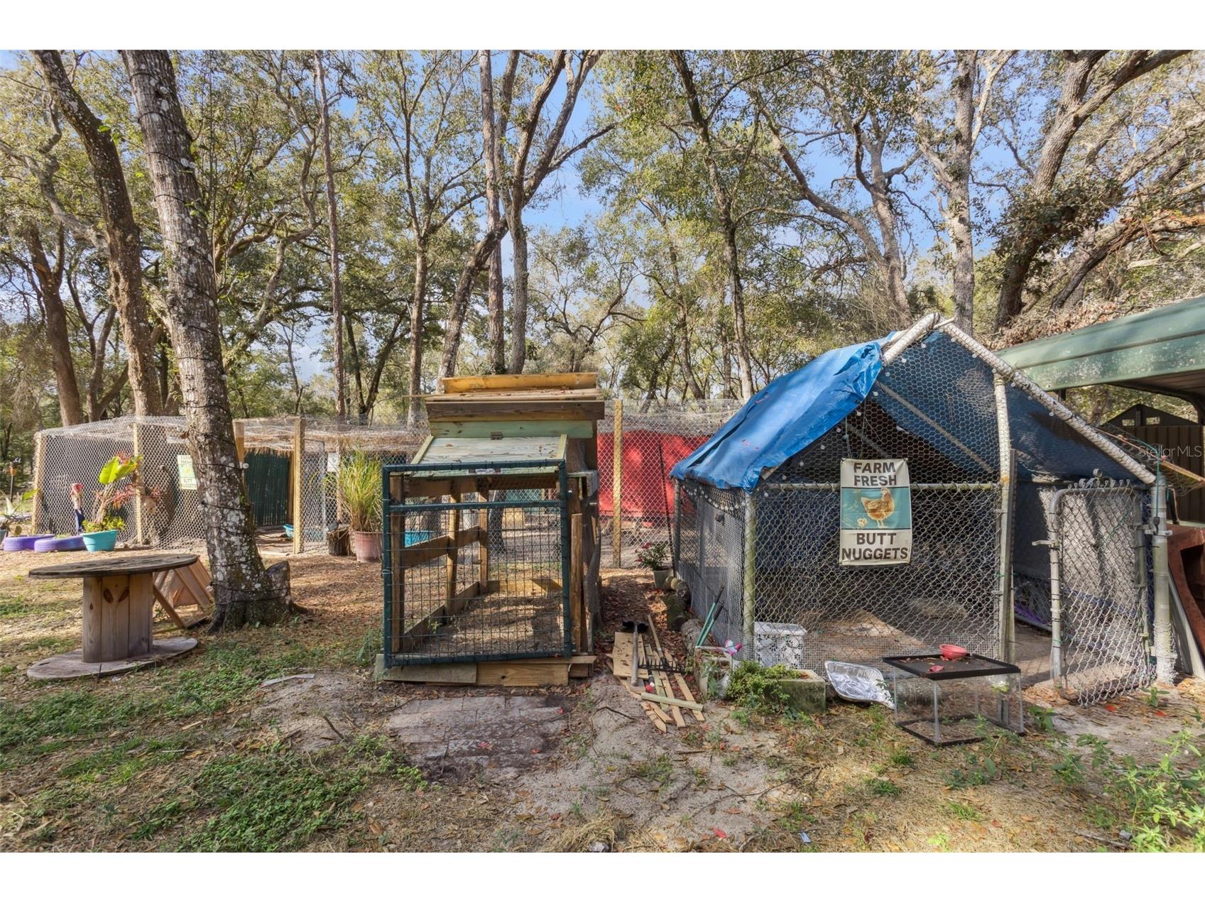 1208 Darcy Road Lady Lake FL 32159 O6370983 image30