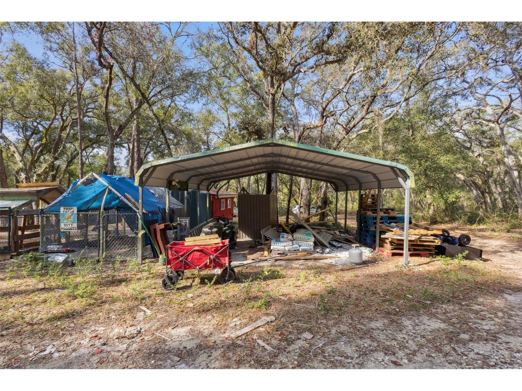 1208 Darcy Road Lady Lake FL 32159 O6370983 image31