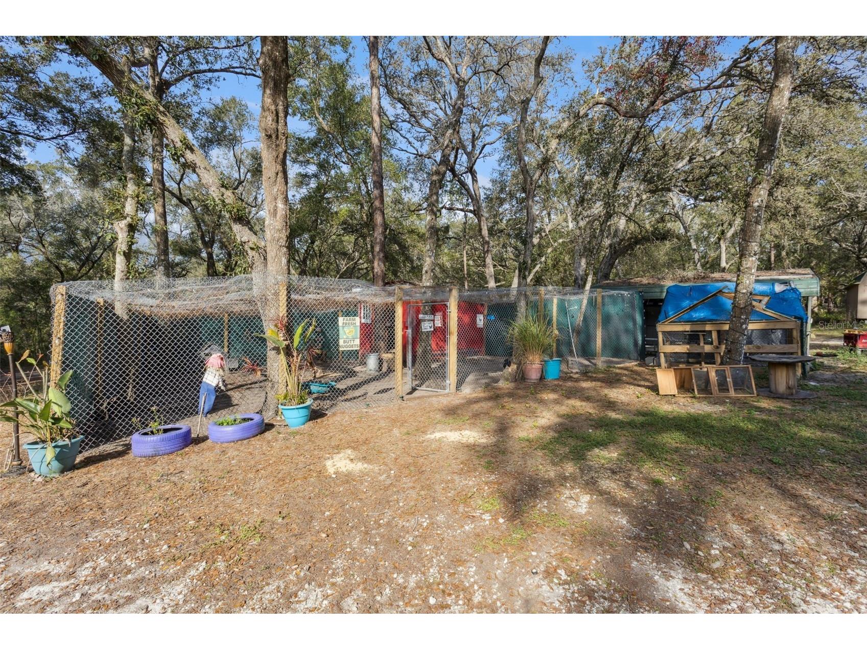 1208 Darcy Road Lady Lake FL 32159 O6370983 image33