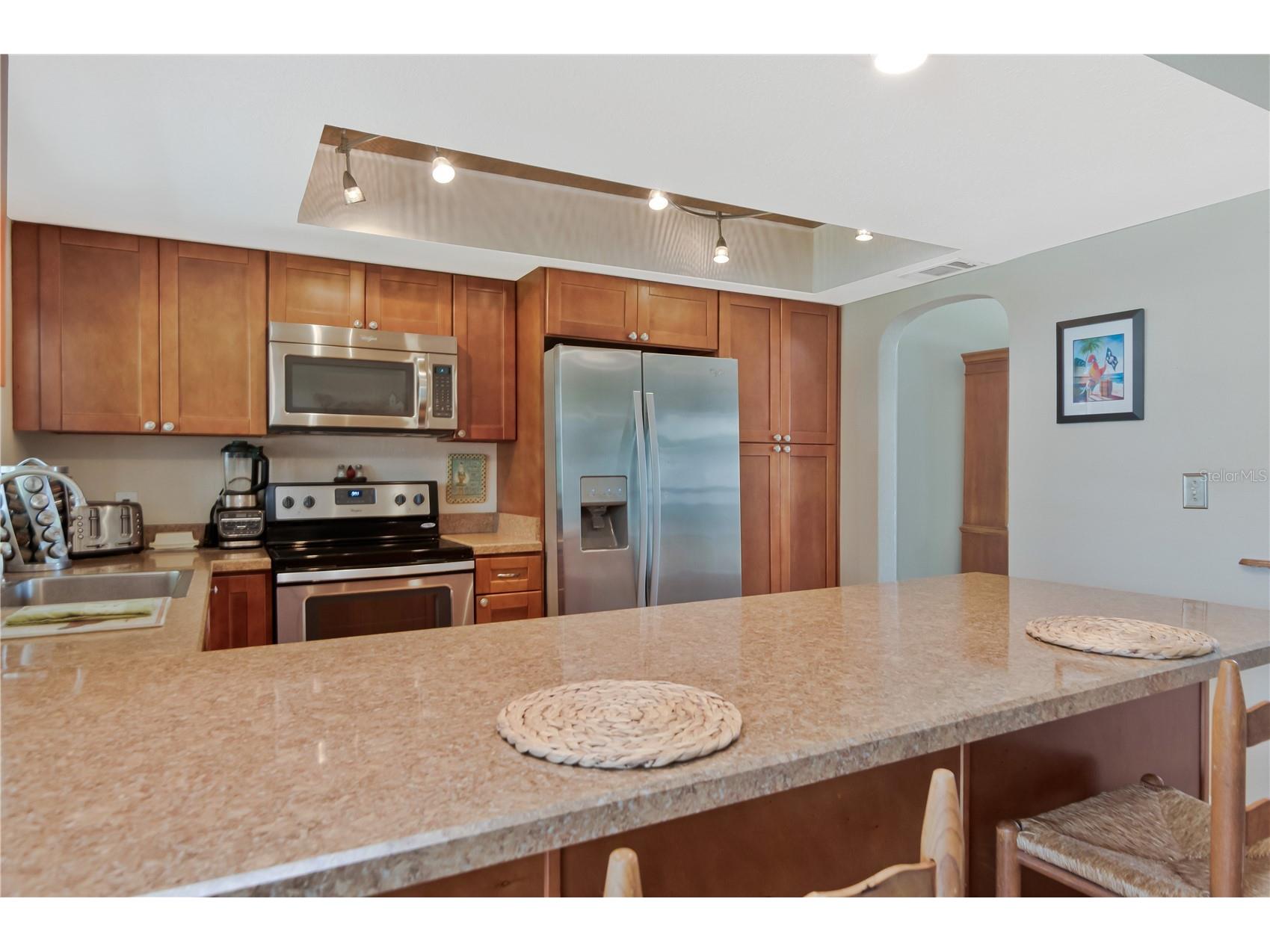 1208 Lady Guinevere Drive Valrico FL 33594 TB8525206 image13