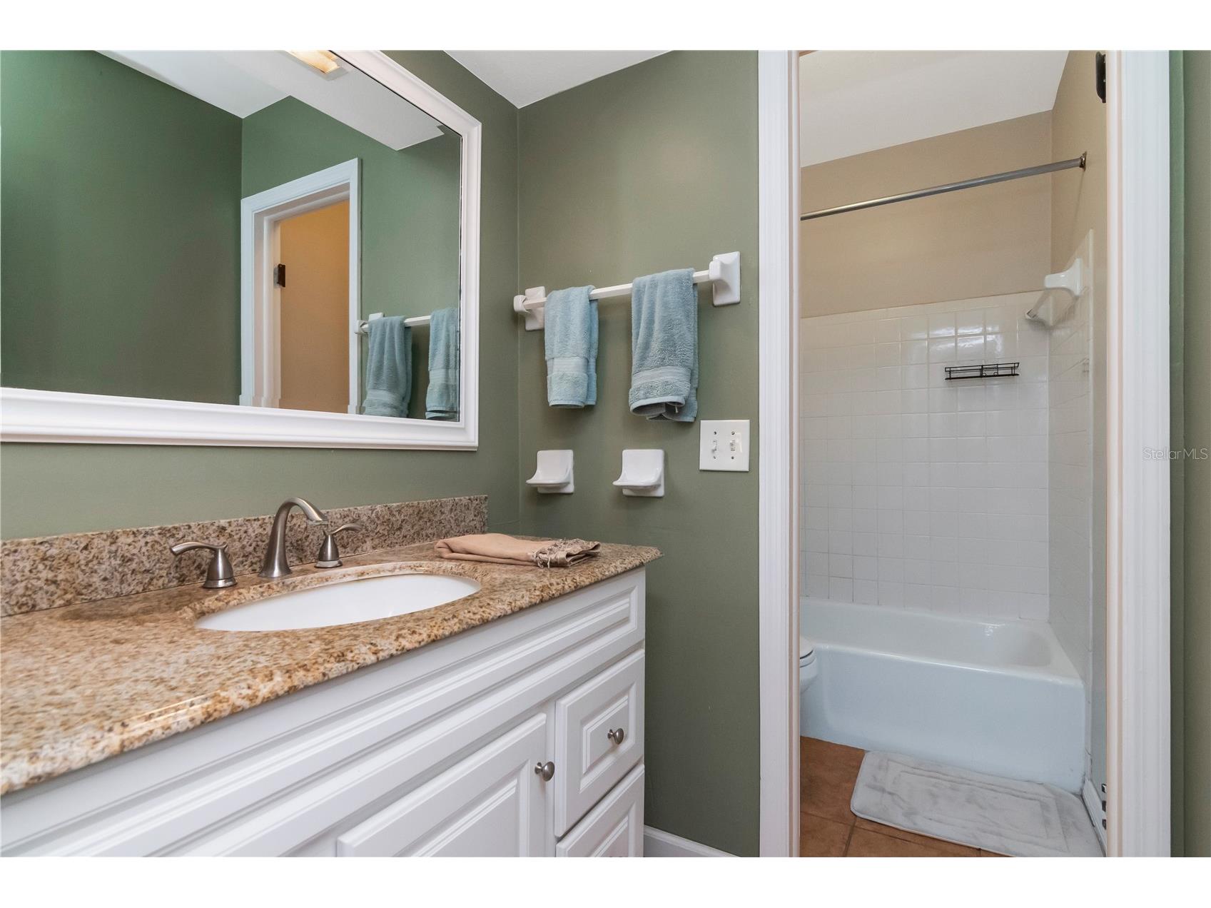 1208 Lady Guinevere Drive Valrico FL 33594 TB8525206 image24
