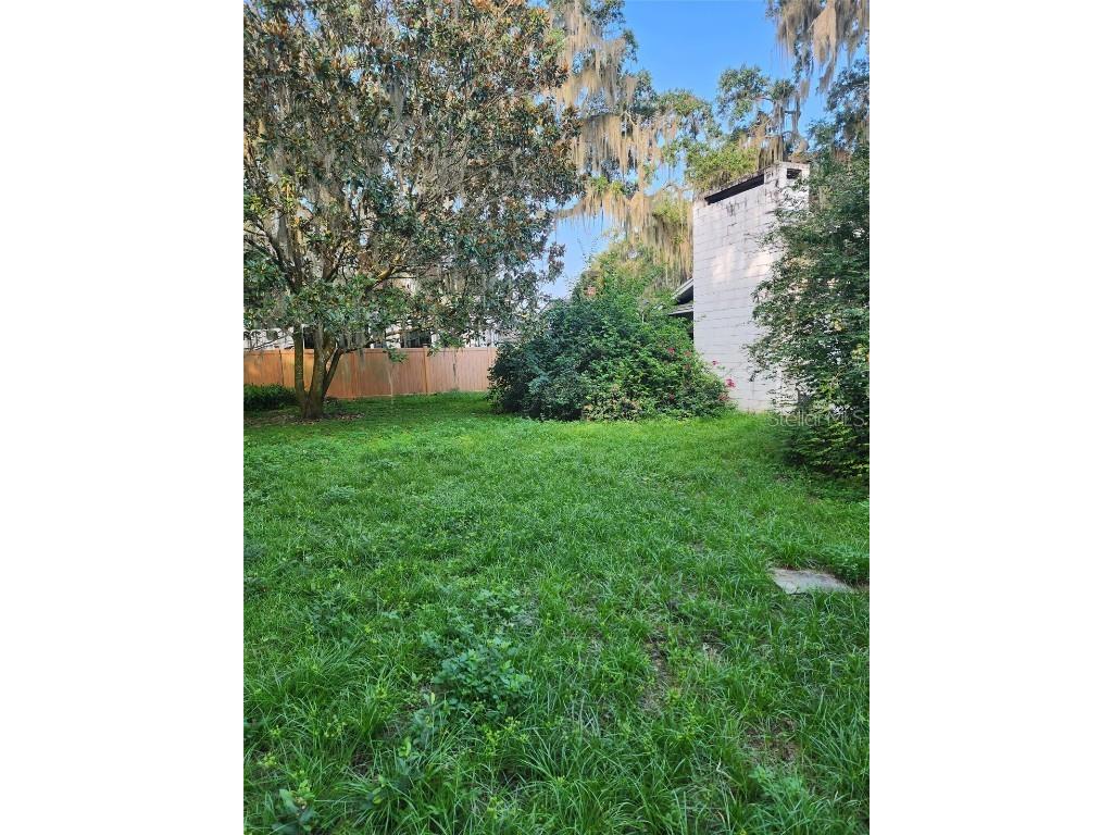 1208 Lake Shore Boulevard Tavares FL 32778 O6365747 image14