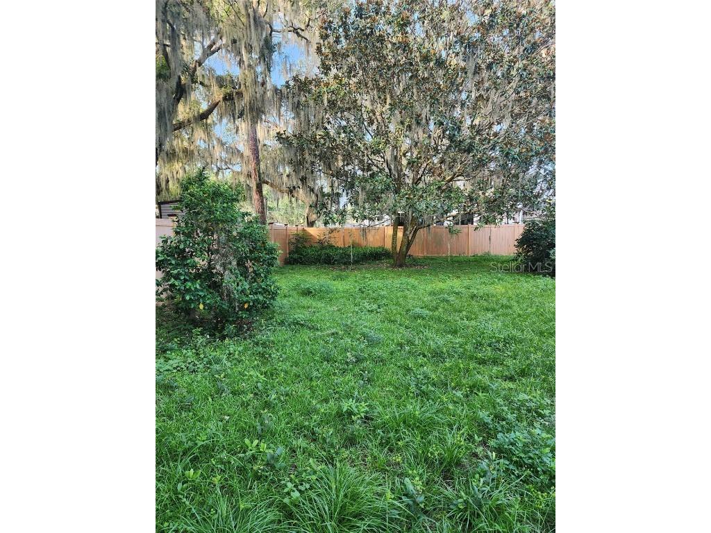 1208 Lake Shore Boulevard Tavares FL 32778 O6365747 image15