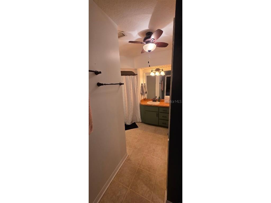 1208 Lake Shore Boulevard Tavares FL 32778 O6365747 image7