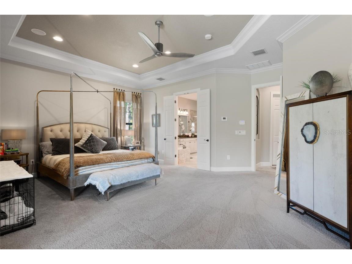 1208 Merry Water Drive Lutz FL 33548 W7880124 image37