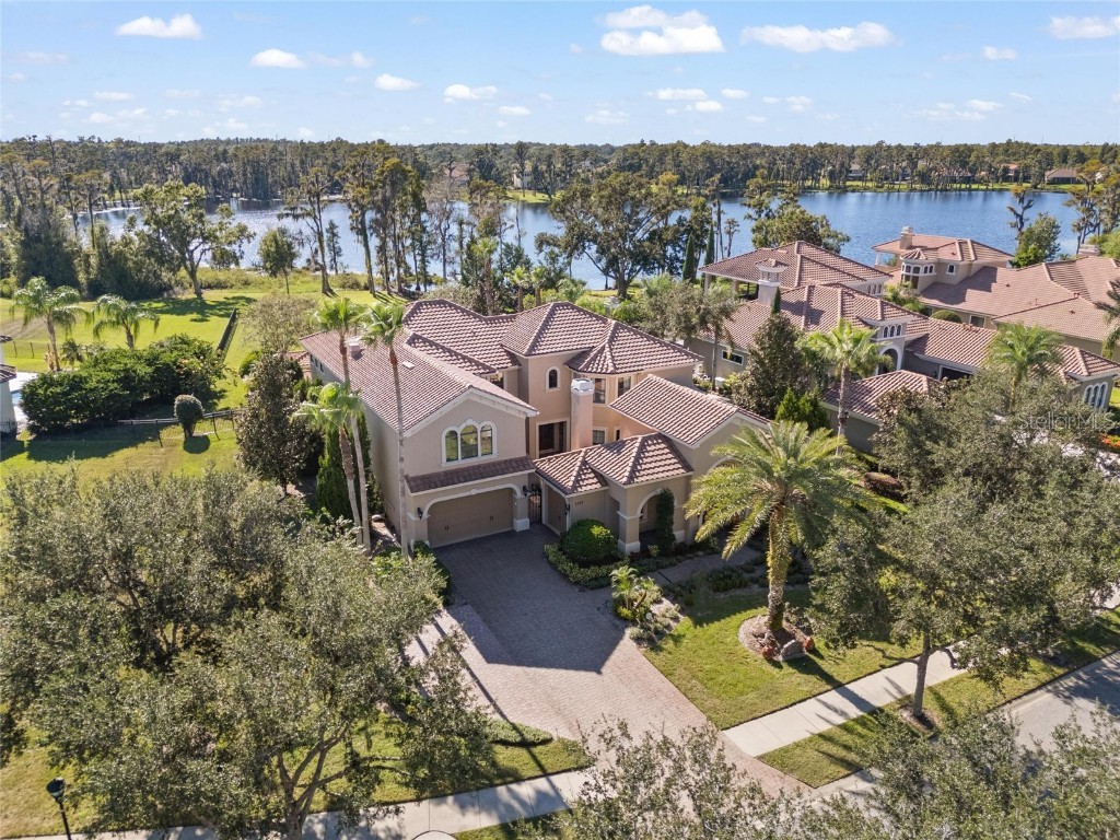 1208 Merry Water Drive Lutz FL 33548 W7880124 image5