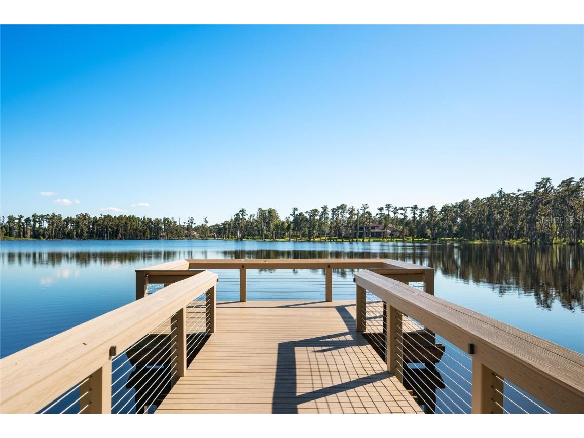 1208 Merry Water Drive Lutz FL 33548 W7880124 image65