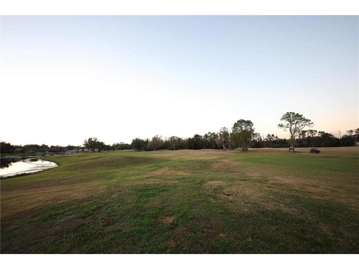 1208 Monte Lake Drive Valrico FL 33596 TB8439301 image42